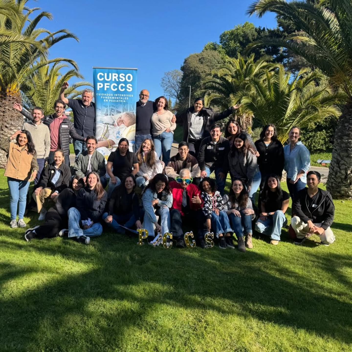 XXXIII CURSO PFCCS – Viña del Mar